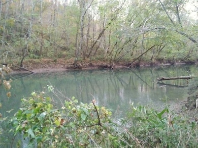 351 Rocky River Rd, Bone Cave, TN 38581 - photo 4