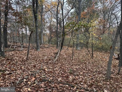 Lot 40 Prado Way, Berkeley Springs, WV 25411 - photo 2