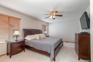 20922 W Bloomfield Dr, Plainfield, IL 60544 - photo 4