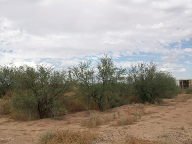 13170 W Green Cactus 006