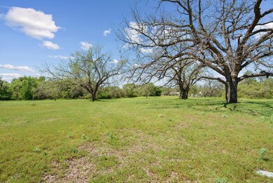 1220 River View Rd, Millsap, TX 76066 - photo 5