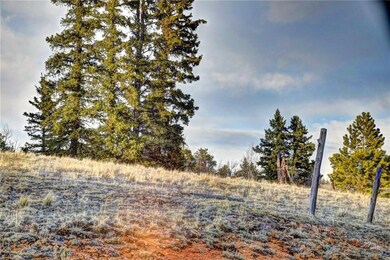 6206 Remington Rd, Como, CO 80432 - photo 5