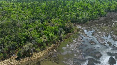 0 Simmons Bluff Rd unit 147462, Woodbine, GA 31569 - photo 6