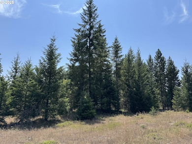 00 Ranger Rd, Goldendale, WA 98620 - photo 6