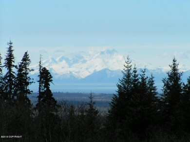 000 Clyde Thomas Ave, Anchor Point, AK 99556 - photo 6