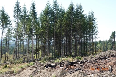 10119 Eatonville Hwy E, Eatonville, WA 98328 - photo 3