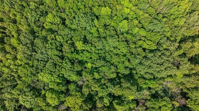 0 140th Ave unit 1597483, Glenwood City, WI 54013 - photo 3