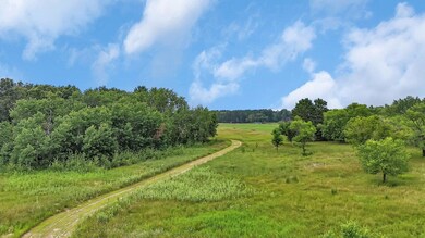 5118 County Road 85, Santiago Township, MN 55308 - photo 6