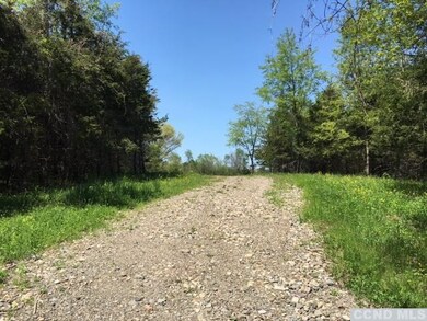 0 Cemetery Rd unit 109123, Clermont, NY 12526 - photo 5