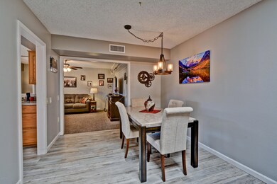 17606 N 102nd Dr, Sun City, AZ 85373 - photo 3