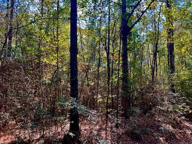 0 Old Salt Rd unit LotWP001, Sumrall, MS 39482 - photo 2