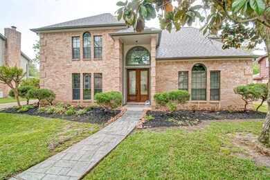 Great Quail Forest Beauty!