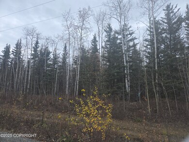 Bike Path next to road