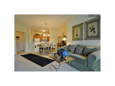 717 Aqua Marine Blvd unit 717, Avon Lake, OH 44012 - photo 3