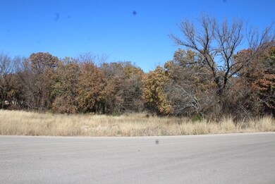 450 Rolling Hills Blvd, Alvord, TX 76225 - photo 2