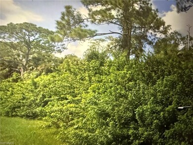 0 5th St NW unit 225073751, Naples, FL 34120 - photo 3