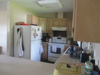 101 Fawn Ln, Blackshear, GA 31516 - photo 7