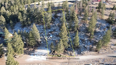 0 Tbd N Shoreline Dr unit LotWP001, Salmon, ID 83467 - photo 2