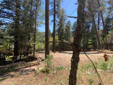 7 Pine Glen, Cloudcroft, NM 88317 - photo 6