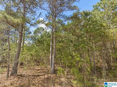 0 County Road 621 unit 21438044, Newell, AL 36280 - photo 7