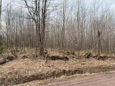 TBD U S Highway 2, Hurley, WI 54534 - photo 3