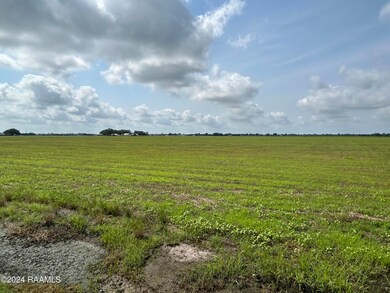 IMG_1196