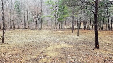 0 Sewell Branch Rd unit 2000839, Linden, TN 37096 - photo 6