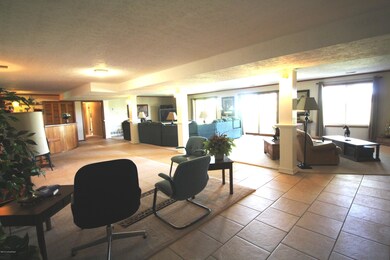 LOWER LEVEL FAMILY ROOM