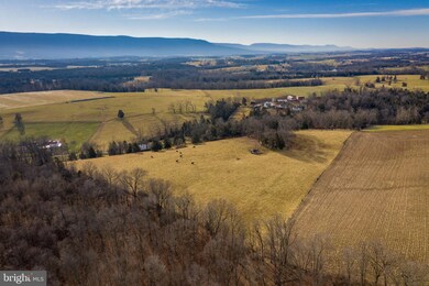 1000 Swover Creek Rd, Edinburg, VA 22824 - photo 3