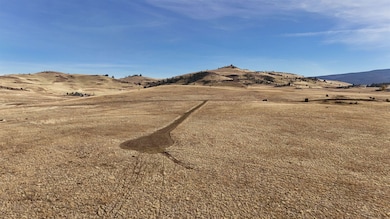 Unit 5 Lot 21 Lookout Rd unit 5, Hornbrook, CA 96044 - photo 3