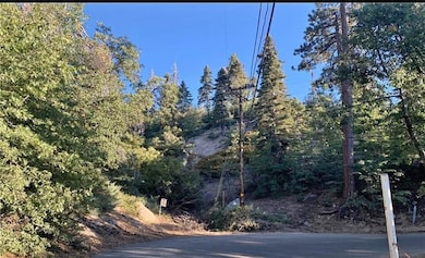 0326211020 Angeles Dr, Green Valley Lake, CA 92341 - photo 3