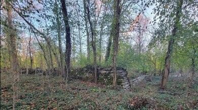 987 Pauls Mill Rd, Versailles, KY 40383 - photo 7