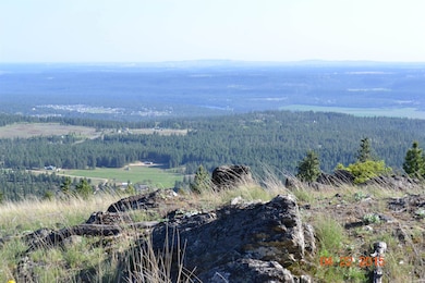 XX Blueridge Way unit LOT 38, Deer Park, WA 99006 - photo 7