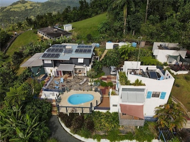 El Yunque KM 10 Carr 186, Canovanas, PR 00729 - photo 7