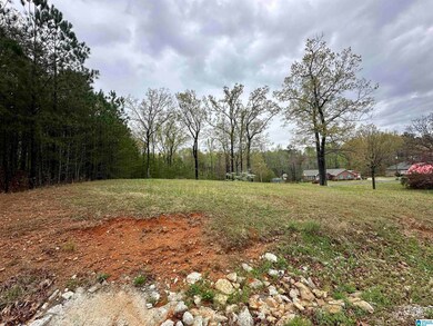 0 Jones Dr unit 15 21414159, Sylacauga, AL 35151 - photo 2