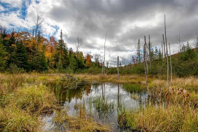 0 Fellows Rd unit 4887186, Guildhall, VT 05905 - photo 3