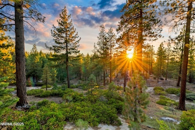 488 Laurel Ln, Stateline, NV 89449 - photo 4