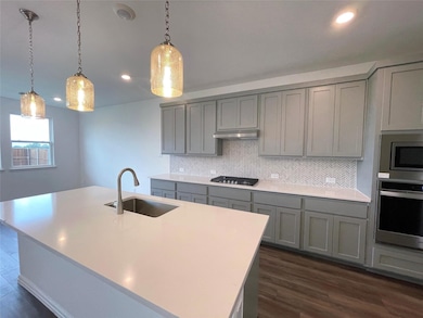 3606 Beebalm Blvd, Melissa, TX 75454 - photo 5