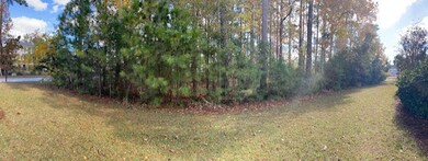 River Vista Pano