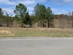 Lot 160 River Bluffs Dr, Jasper, TN 37347 - photo 3