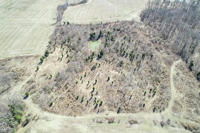 0 County Road 100 E unit 202506742, Chrisney, IN 47611 - photo 6