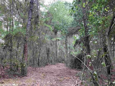 1 Sherwood Highl Rd, Fairhope, AL 36532 - photo 4