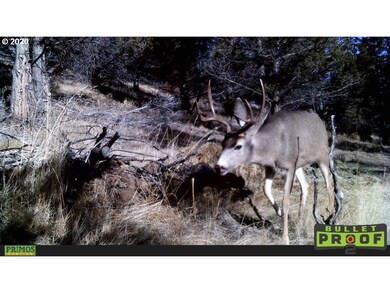 0 Shop Gulch unit 20573615, Mount Vernon, OR 97865 - photo 2