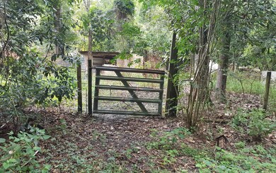 224 SW Trenton Terrace, Fort White, FL 32038 - photo 2