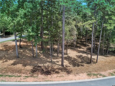 Lot Has Been Underbrushed