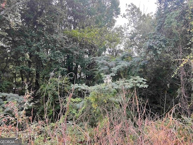 5596 Buford Hwy, Peachtree Corners, GA 30071 - photo 6