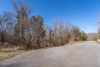 4.42 ac Hidden River Ln, Sparta, TN 38583 - photo 4