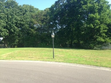 View looking at lot head on.  Matching streetlight