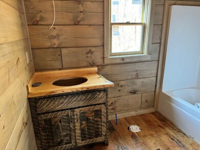 1052 Cherry Lake Dr, Ellijay, GA 30540 - photo 3