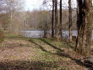 0 Scotch Blooming Hill Rd unit B1332977, Freedom, NY 14065 - photo 6